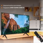 Телевизор LED SunWind 43" SUN-LED43XS301 Яндекс.ТВ черный FULL HD 60Hz DVB-T DVB-T2 DVB-C D   106694 - Фото 5