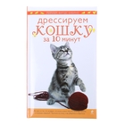 Дрессируем кошку за 10 минут - Фото 1