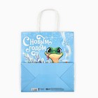 Пакет подарочный новогодний «Змея 2025», белый крафт, 22 х 25 х 12 см - фото 25455557