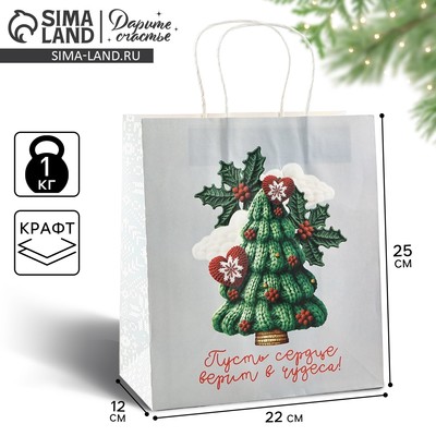 Пакет подарочный новогодний «Чудеса», белый крафт, 22×25×12 см