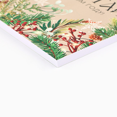 Ежедневник А5, 80 листов, недатированный, в мягкой обложке «Мечтай в Новом году!»