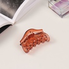 Краб для волос "Флориана" (набор 3 шт) геометрия дуга, 6,5 и 4 см, коричневый (6 шт) - фото 809121987