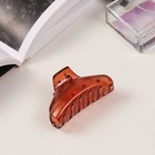 Краб для волос "Флориана" (набор 3 шт) дуга, 6,5 и 4 см, коричневый (6 шт) - фото 809121995