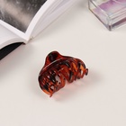 Крабики для волос «Флориана», набор 3 шт., объём, 6.5 и 3.5 см, тёмно-коричневые 10454866