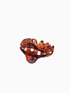 Крабики для волос «Флориана», набор 3 шт., объём, 6.5 и 3.5 см, тёмно-коричневые 10454866