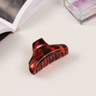 Крабик для волос «Флориана», набор 3 шт., дуга, 6.5 и 4 см, тёмно-коричневый (комплект 6 шт) - фото 52084068