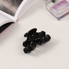 Крабик для волос «Флориана», набор 3 шт., цветы, 6.5 и 4 см, чёрный (комплект 6 шт) - фото 51904992