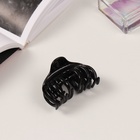 Крабики для волос «Флориана», набор 3 шт., объём, 6.5 и 3.5 см, чёрные 10454871