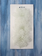 Ёлочные игрушки 3 шт. «Зимнее волшебство. Цветы заснеженные» пластик, ажурные, 10 см, белый 10499922