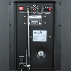 Колонка 12" (20-06 TWIN BOX) динамик 4шт/12" комплект 2 колонки ElTRONIC - фото 51673756 Колонка 12" (20-06 TWIN BOX) динамик 4шт/12" комплект 2 колонки ElTRONIC - фото 51673756