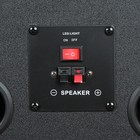 Колонка 12" (20-06 TWIN BOX) динамик 4шт/12" комплект 2 колонки ElTRONIC - фото 51673757 Колонка 12" (20-06 TWIN BOX) динамик 4шт/12" комплект 2 колонки ElTRONIC - фото 51673757