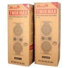 Колонка 12" (20-06 TWIN BOX) динамик 4шт/12" комплект 2 колонки ElTRONIC - фото 51673759 Колонка 12" (20-06 TWIN BOX) динамик 4шт/12" комплект 2 колонки ElTRONIC - фото 51673759