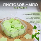 Мыло листовое, в пластинах, 72 (± 2) шт., в футляре, зелёное - Фото 1