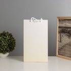 Фигурка светящаяся RISALUX «Букет. Медведь», LED-ночник, 3×AG10, 8×17×29 см - Фото 4