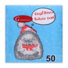 Салфетки бумажные «Новогодний ёжик» 1 слой, 24×24 см, 50 шт. - Фото 3