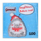 Салфетки бумажные Гармония цвета «Новогодний ёжик» 1 слой, 24х24, 100 шт. 10687945 - фото 13272261