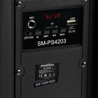 Музыкальный центр Soundmax SM-PS4203(черный) - фото 51640755 Музыкальный центр Soundmax SM-PS4203(черный) - фото 51640755