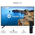 Телевизор LED 43” HD SKYLINE 43LST6575 (RUS) - фото 51650813 Телевизор LED 43” HD SKYLINE 43LST6575 (RUS) - фото 51650813