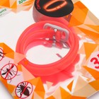 Биоошейник «ПИЖОН» для животных, от блох и клещей, светящийся в темноте, красный, 35 см - Фото 3