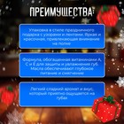 Новый год. Блеск для губ "Новогодний подарок" - Фото 2