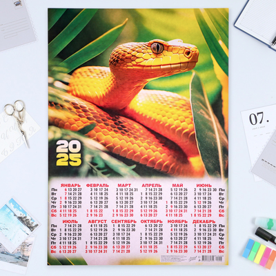 Календарь настенный 2025 год, листовой А2 42×60 см