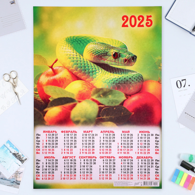 Календарь настенный 2025 год, листовой А2 42×60 см