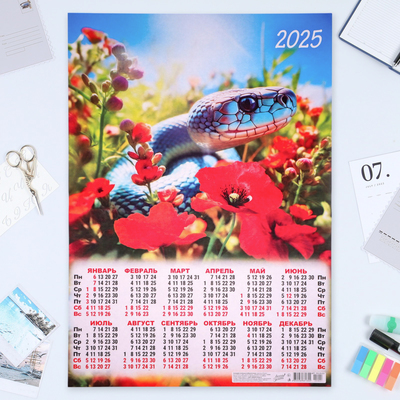 Календарь настенный 2025 год, листовой А2 42×60 см