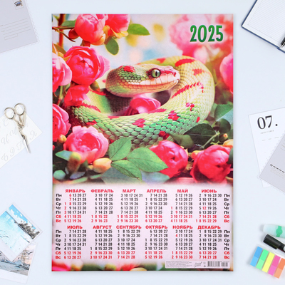 Календарь настенный 2025 год, листовой А2 42×60 см