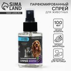 Парфюмированный спрей для животных Groomroom, аромат «Виноград», 100 мл 10572107 - фото 3961442