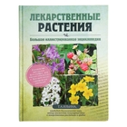 Лекарственные растения. Большая иллюстрированная энциклопедия. Автор: Ильина Т.А. - Фото 1