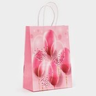 Пакет крафт, розовый, "Праздничные шары" 21 х 15 х 8 см (комплект 6 шт) - фото 25410260