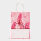 Пакет крафт, розовый, "Праздничные шары" 21 х 15 х 8 см (комплект 6 шт) - фото 25410261