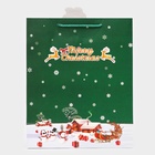 Пакет подарочный новогодний ламинированный, с окном «Новый год», тиснение, 26?32?12 см (комплект 10 шт) - фото 53862708