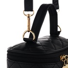 Сумка женская кросс-боди на молнии, 16.5×9×10.5 см, чёрная - Фото 7