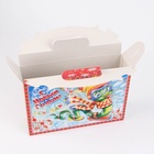 Коробка подарочная новогодняя Змейка - спортсменка, для сладких подарков, 26?23?7 см (комплект 5 шт) - фото 50335607