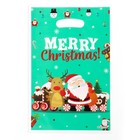 Пакет подарочный новогодний, из жемчужной пленки, «Рейс в новый год», 17×25±1 см - Фото 1