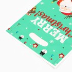 Пакет подарочный новогодний, из жемчужной пленки, «Рейс в новый год», 17×25±1 см - Фото 2