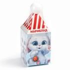 Новый год! Мармелад в коробке«Подарок для тебя» в форме ягод,100 г 10354077 - фото 13275360