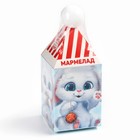 Мармелад жевательный в коробке«Подарок для тебя» в форме ягод,100 г - Фото 8