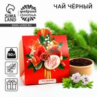 Чай черный новогодний «С новым годом», с чабрецом, 50 г - Фото 1