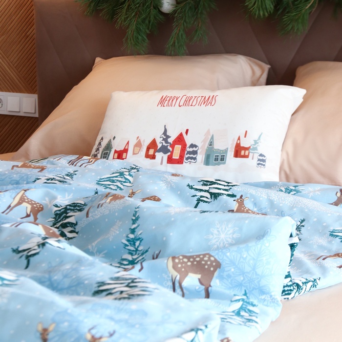 

Подушка декоративная Этель Winter 60*40 см
