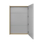 Зеркало шкаф Aquaton «Либерти», 650 мм, цвет дуб эльвезия - Фото 2