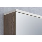Зеркало шкаф Aquaton «Эмма», 460×820 мм, цвет белый/дуб наварра - Фото 6