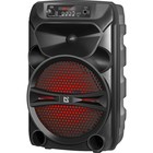 Портативная акустика Defender G110 12 Вт, Light/BT/FM/USB/LED/AUX 10734721 - фото 313332041