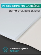 Альбом для рисования Calligrata «Природа» А4, 40 листов на склейке, обложка мелованный картон, выборочный УФ-лак, блок офсет 120 г/м² - Фото 2
