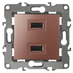 Устройство зарядное USB, 230В/5В-2100мА, IP20, Эра12, медь