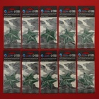 Ароматизатор подвесной Grand Caratt "Зелёная Звезда", Океан, набор 10 шт - Фото 1