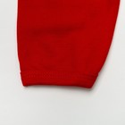 Комплект: кофточка длинный рукав на застежке/штанишки, 6-12 мес., 100% хлопок, цвет красный микс - Фото 6