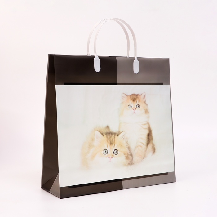Пакет «Котята», мягкий пластик, 29×30 см 100 мкм - Фото 1