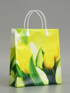 Пакет «Яркая композиция», мягкий пластик, 26×23 см, 100 мкм - Фото 1